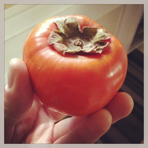 How does one eat a persimmon???